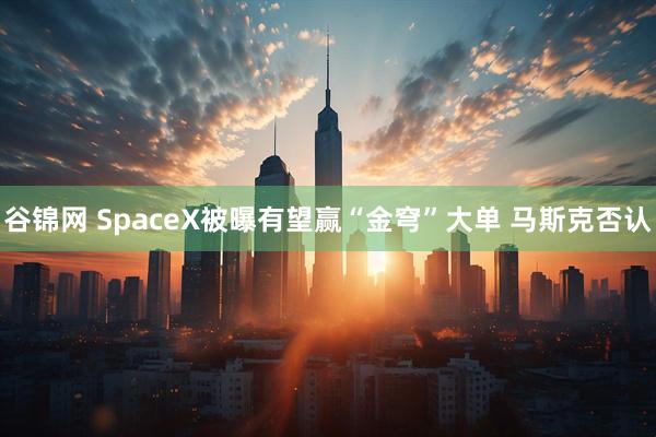 谷锦网 SpaceX被曝有望赢“金穹”大单 马斯克否认