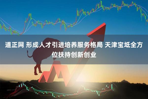 道正网 形成人才引进培养服务格局 天津宝坻全方位扶持创新创业