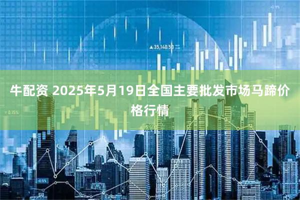 牛配资 2025年5月19日全国主要批发市场马蹄价格行情