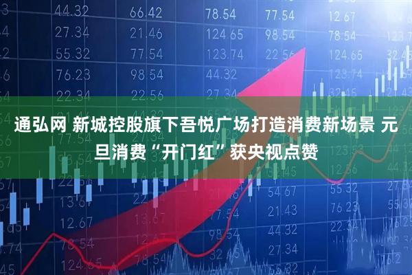 通弘网 新城控股旗下吾悦广场打造消费新场景 元旦消费“开门红”获央视点赞